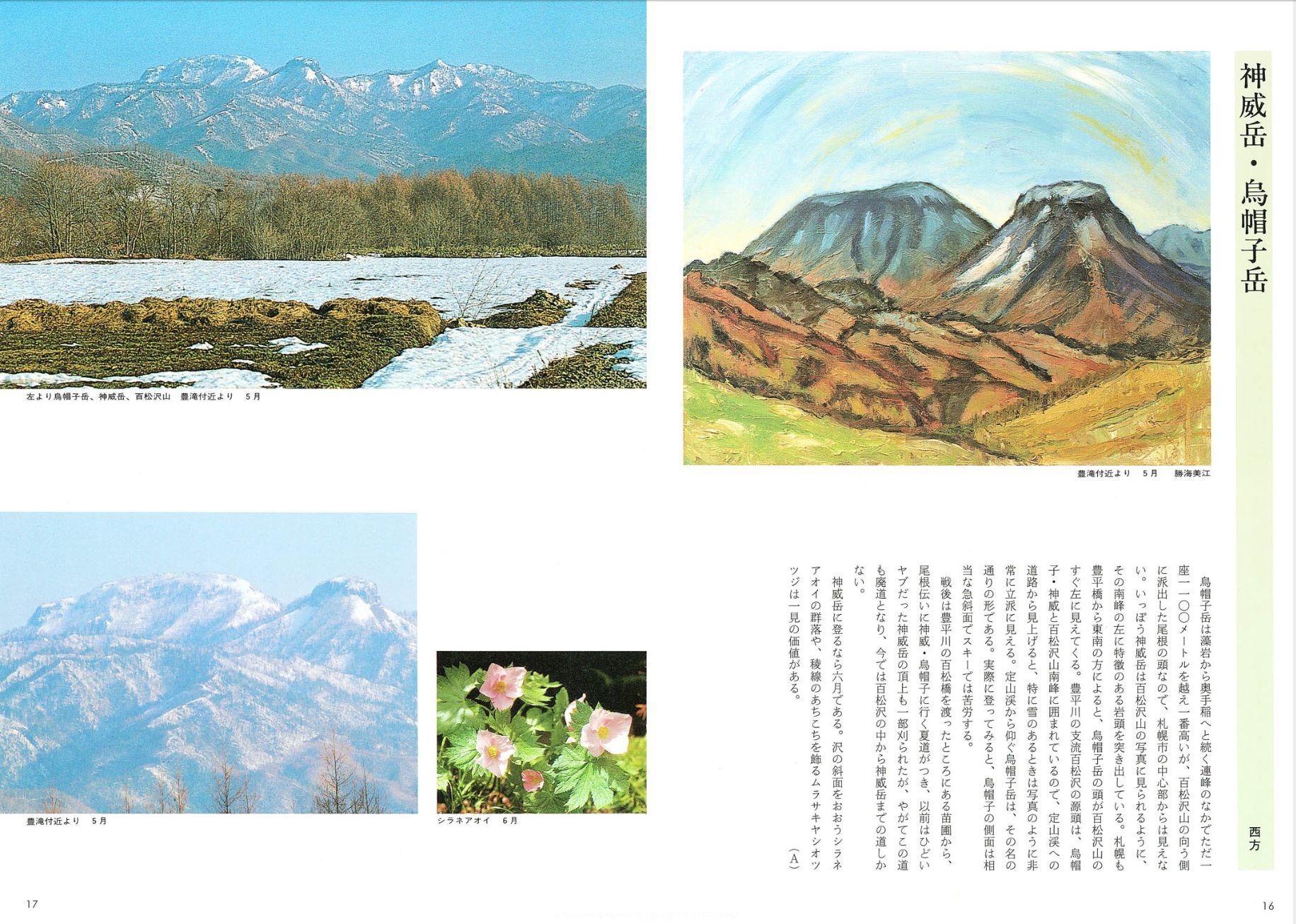 私の部屋から見える山(神威岳)_c0025115_20375221.jpg