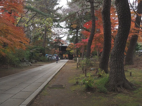 e0260718_21504990.jpg