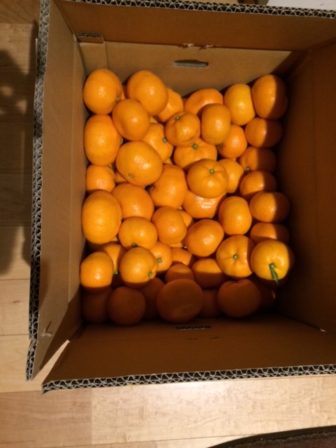 b0251421_14282398.jpeg