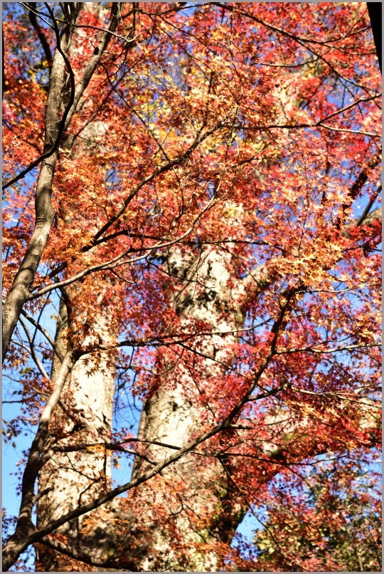 c0276323_14143252.jpg