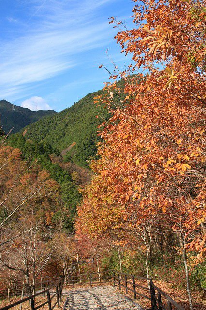 e0321325_11552835.jpg