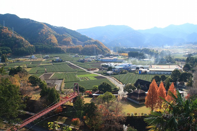 e0321325_11573289.jpg