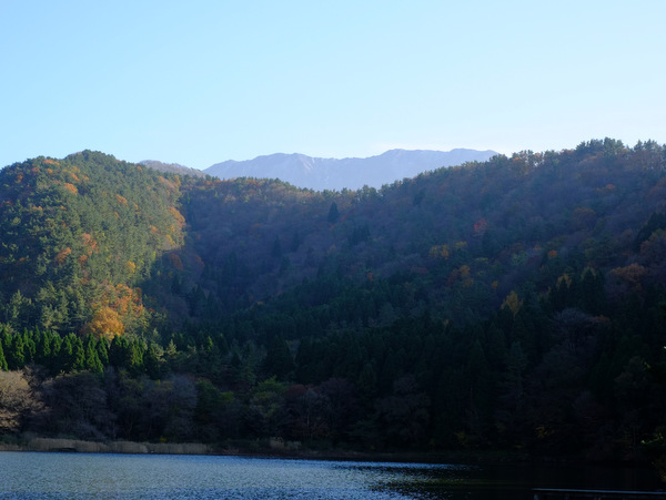 a0000029_8584061.jpg