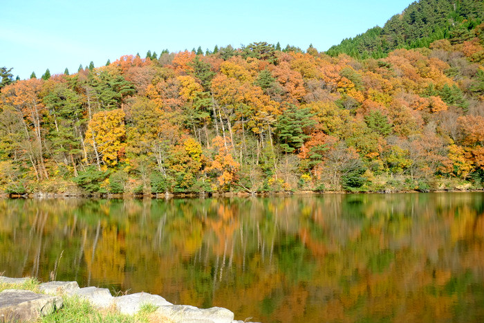 a0000029_90775.jpg