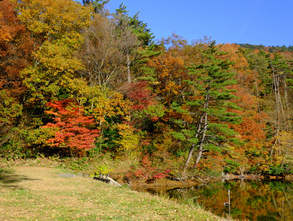 a0000029_9214690.jpg