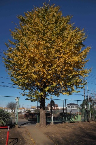a0323131_10063145.jpeg