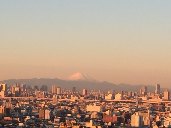 c0117831_16344444.jpg