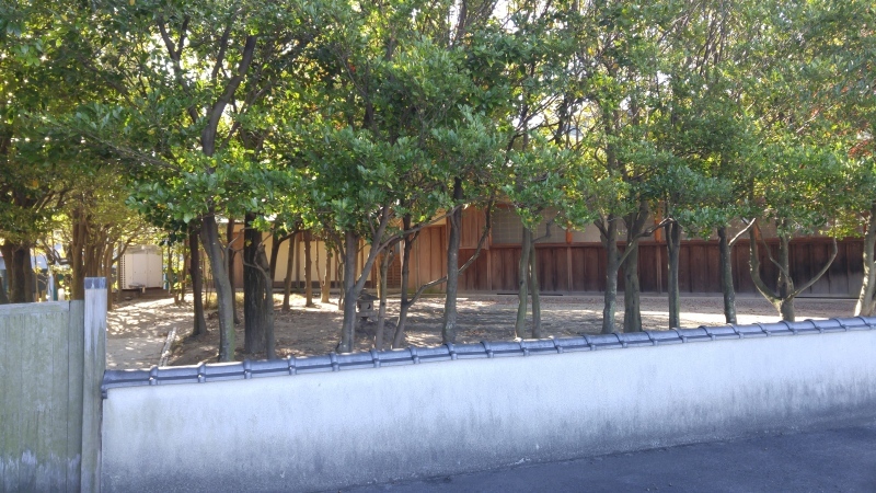 f0361132_00565551.jpg