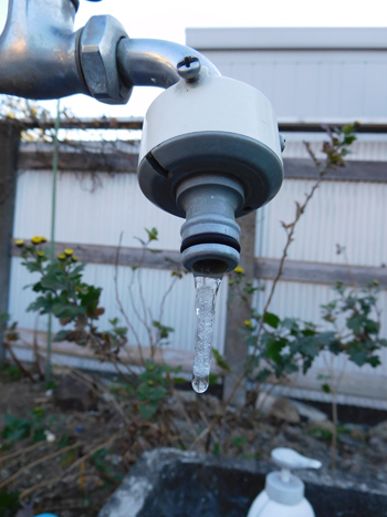 寒いけどもーもーの水替え_e0097534_1603346.jpg