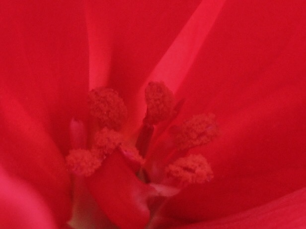 a0329935_18022135.jpeg