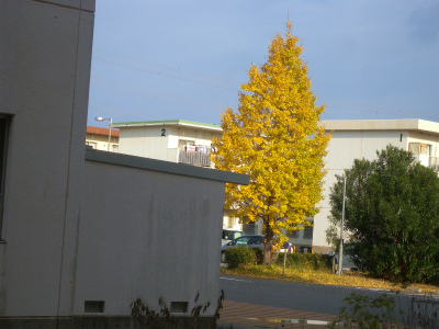 e0272335_834233.jpg