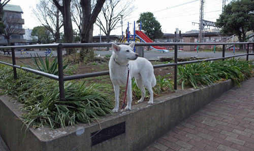 a0117039_2164230.jpg
