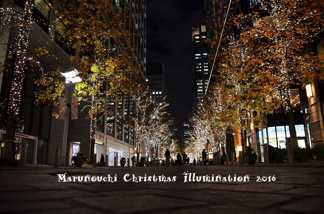 ”東京丸の内クリスマスイルミネーション2016\"_d0153941_17420823.jpg