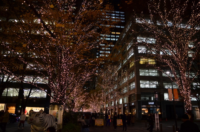 ”東京丸の内クリスマスイルミネーション2016\"_d0153941_17441625.jpg