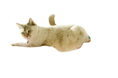 b0151748_11544580.png