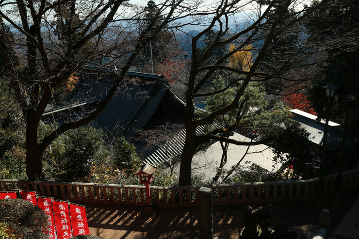 a0120949_6471047.jpg