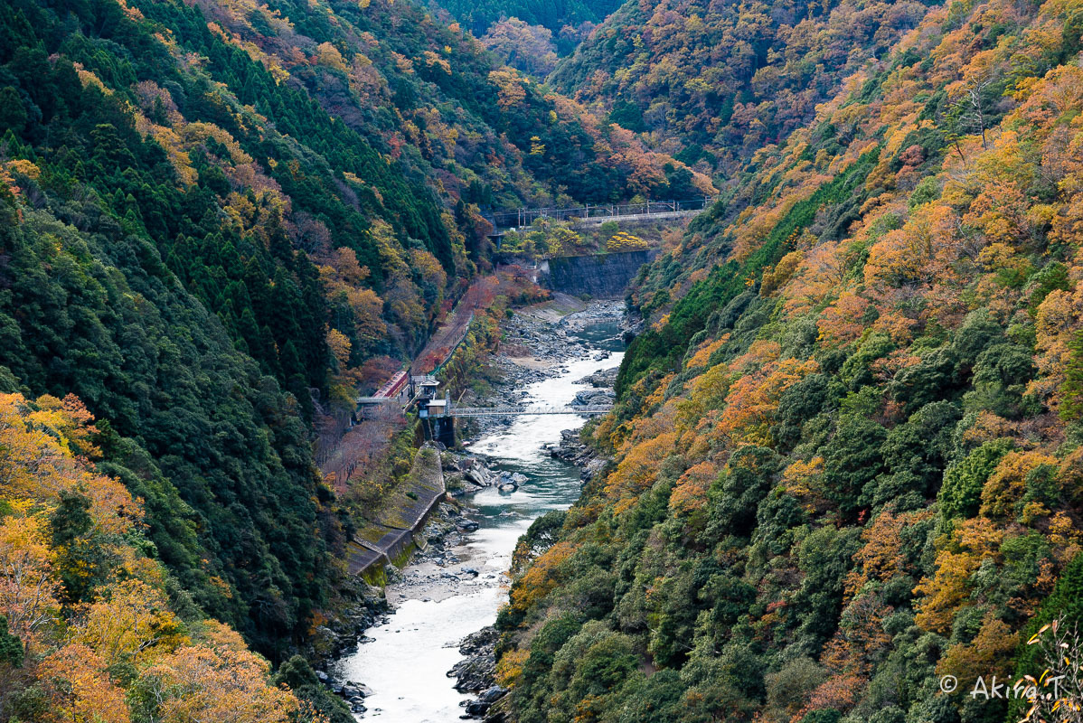 f0152550_21401515.jpg