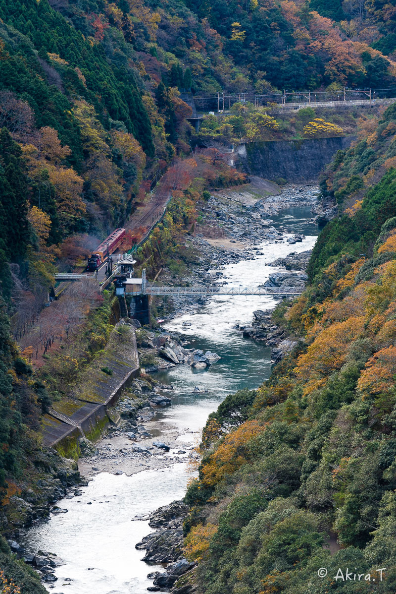 f0152550_21404795.jpg