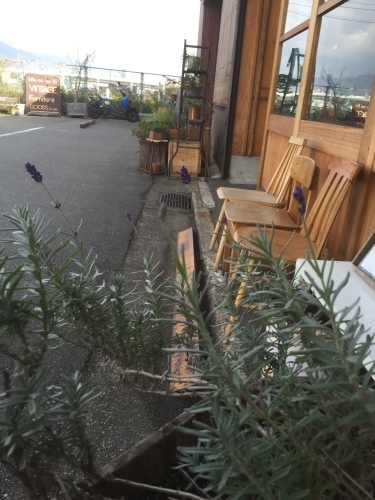 f0326751_08441674.jpeg
