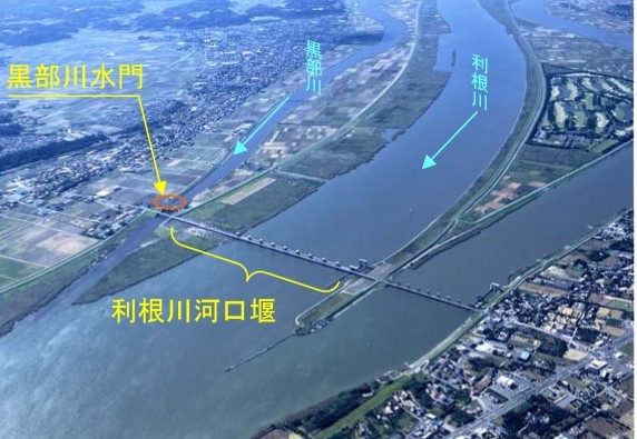 11月 利根川下流域 見学行(4)_f0197754_00220226.jpg