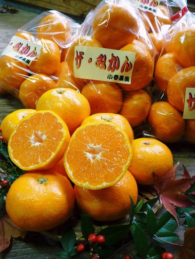 究極の柑橘「せとか」　今年も順調に色づきました！出荷は2月上旬からの予定です！_a0254656_1836637.jpg