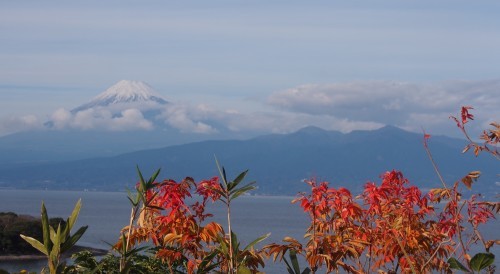 b0335256_13412729.jpg