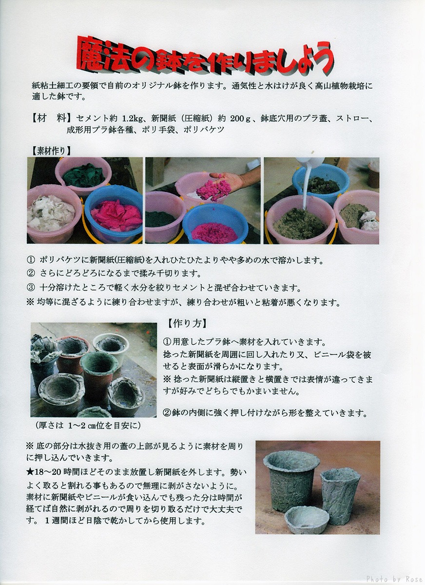 魔法の鉢作り 花ごよみ 山野草に魅せられて 魔法の鉢作り 花ごよみ 山野草に魅せられて