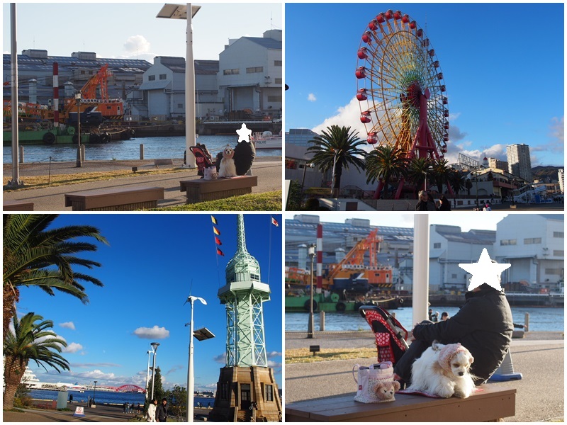 d0111558_1613418.jpg