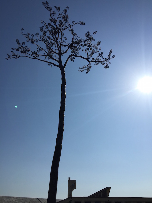 東北_c0000759_17501828.jpg