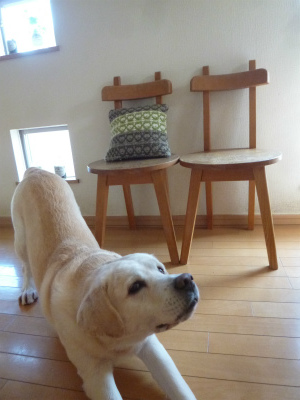 chair × 2 ふたり暮らし 再び_a0165160_10203627.jpg