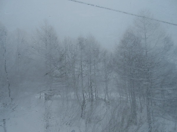 d0010065_22354985.jpg