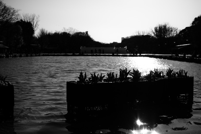 d0349265_16251141.jpg