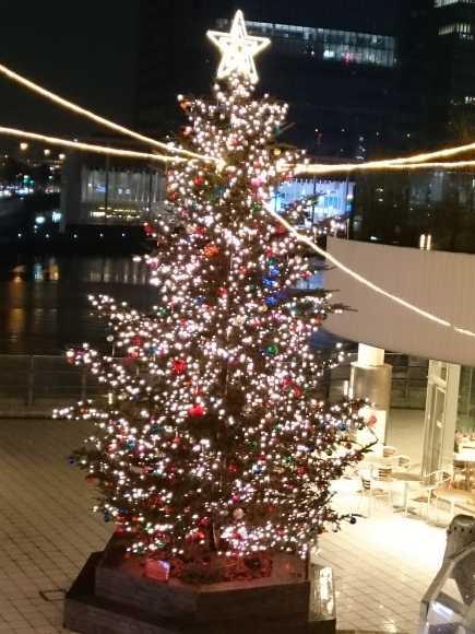 b0242873_00472252.jpg
