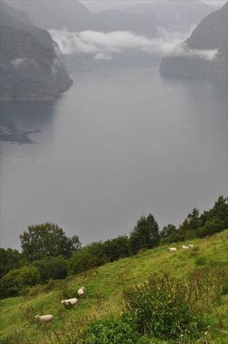 b0346378_14340037.jpg