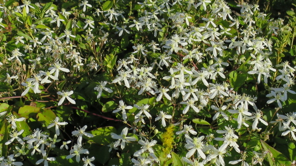 e0024081_08012753.jpg