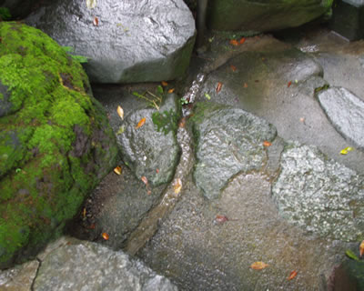 b0123486_11534163.jpg
