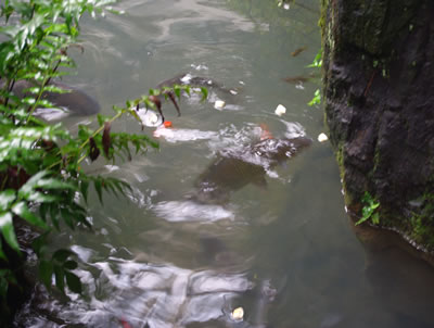 b0123486_1216521.jpg