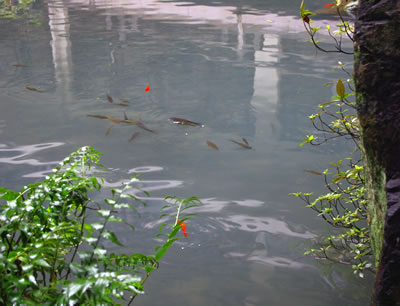 b0123486_129593.jpg