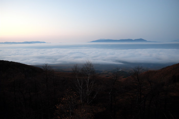 b0339488_20102310.jpg