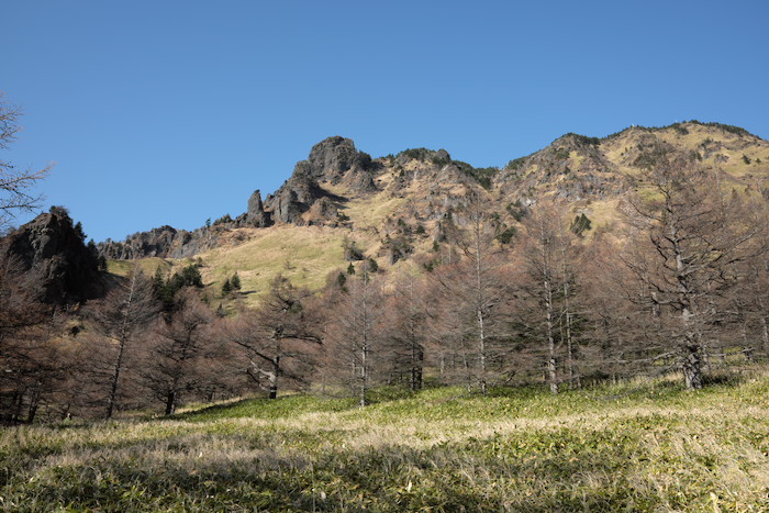 b0339488_20120774.jpg