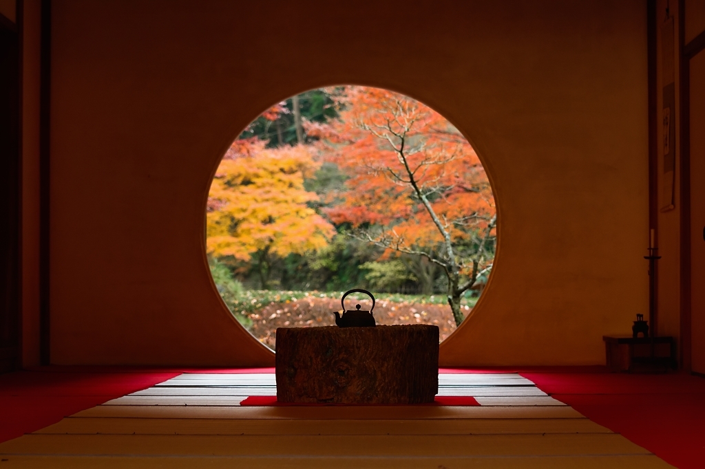 鎌倉の紅葉 明月院 View Finder レンズの向こう側