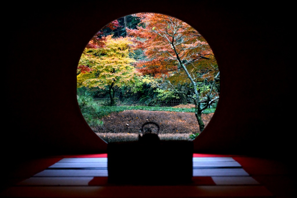 明月院 丸窓の季節 写真でイスラーム