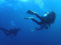 f0079996_1742040.jpg