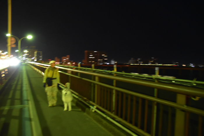 c0049299_22362873.jpg