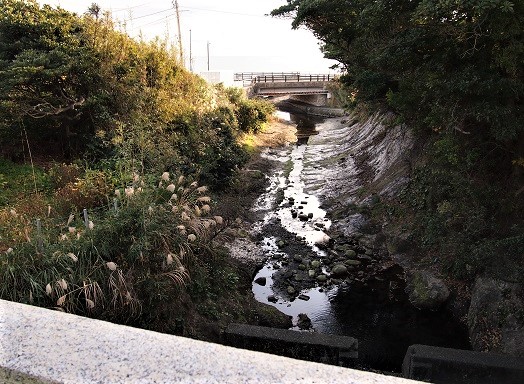 e0245404_16440100.jpg