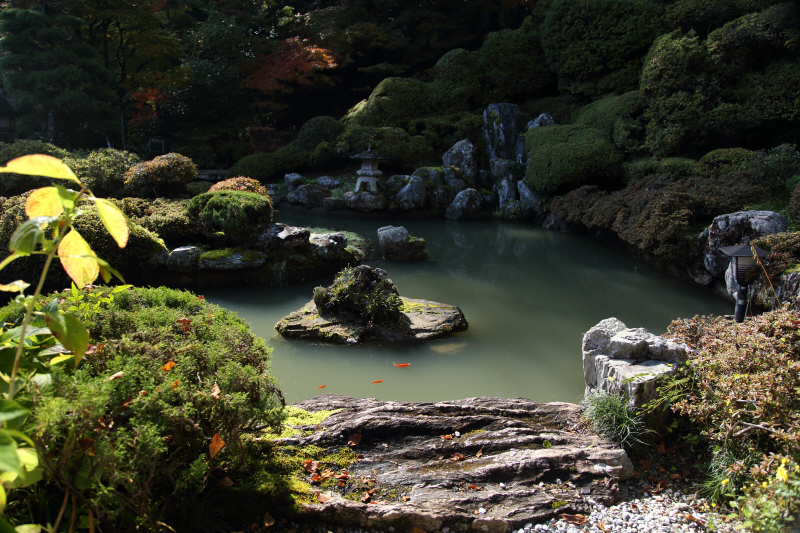 秩父30番札所　瑞竜山法雲寺＃2　池と石仏　_a0357206_21085256.jpg