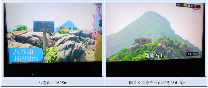f0231709_2073822.png