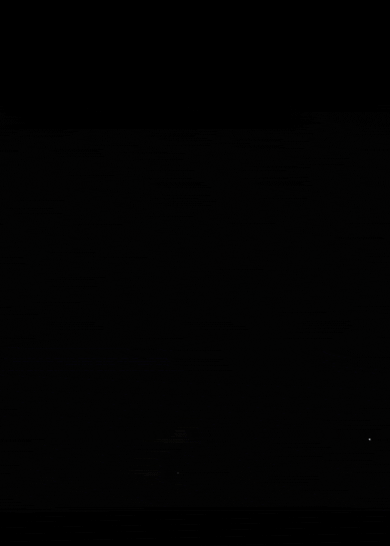 12/23(金・祝) バルトーク主要ピアノ曲集+東野珠実新作 (その2)_c0050810_6455854.gif