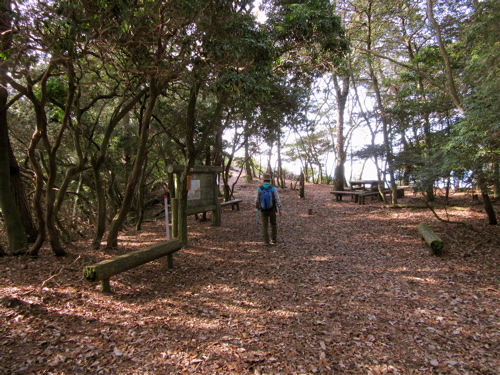 a0164011_2242404.jpg