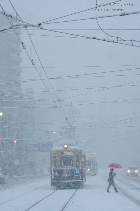 雪に包まれた日に_d0309612_22525336.jpg